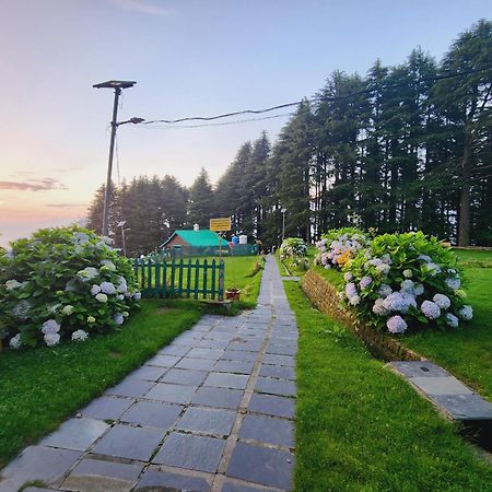 Forest Vibes Kalatop-Rooms And Restaurant Dalhousie Exterior photo