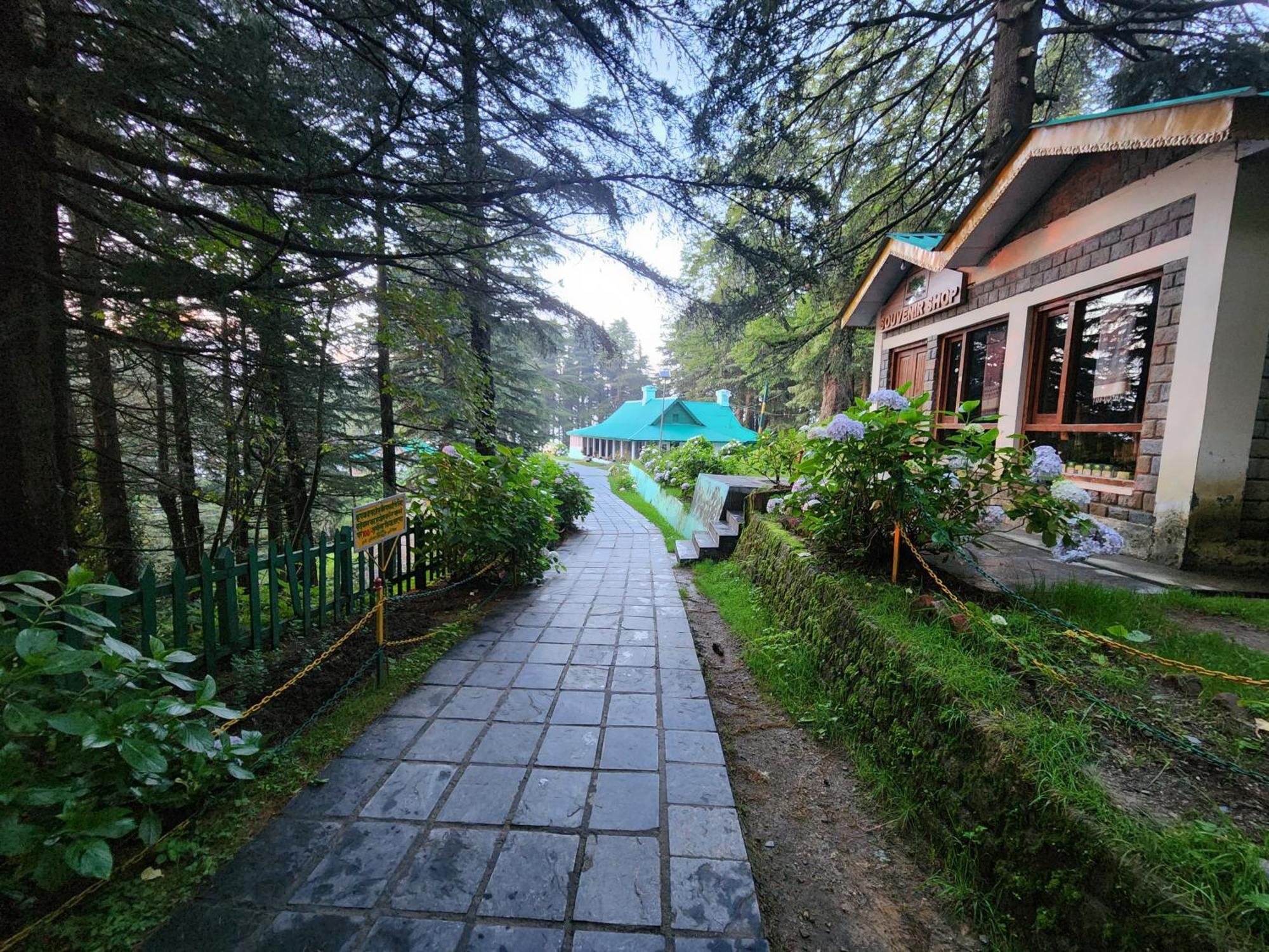 Forest Vibes Kalatop-Rooms And Restaurant Dalhousie Exterior photo